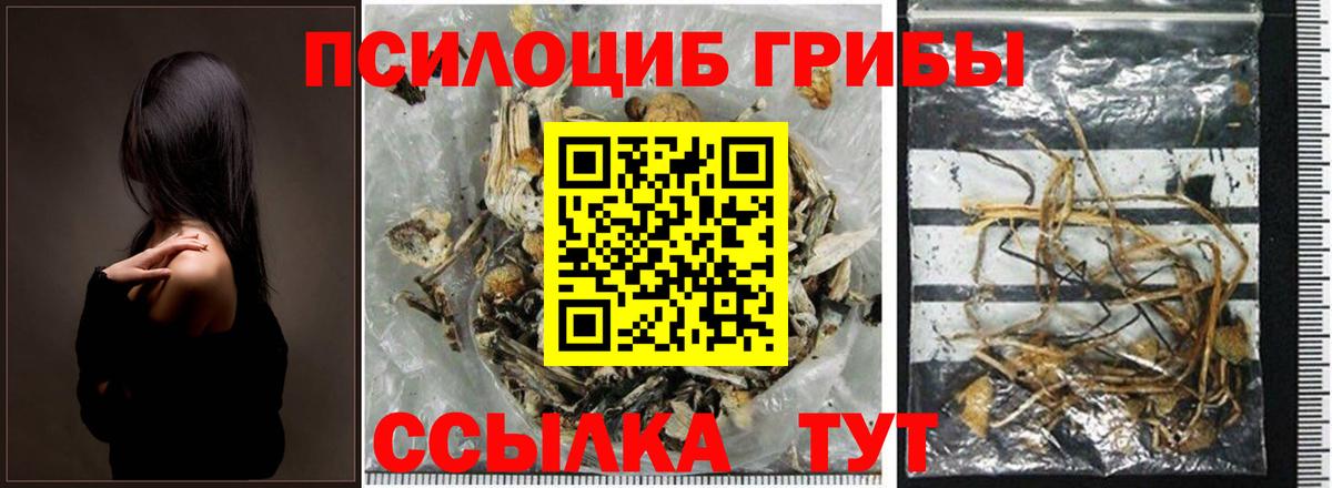 Галлюциногенные грибы Psilocybine cubensis Верхняя Салда