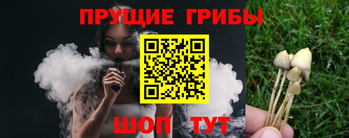 где купить   Вход с VPN  Верхняя Салда  Псилоцибиновые грибы Psilocybine cubensis 